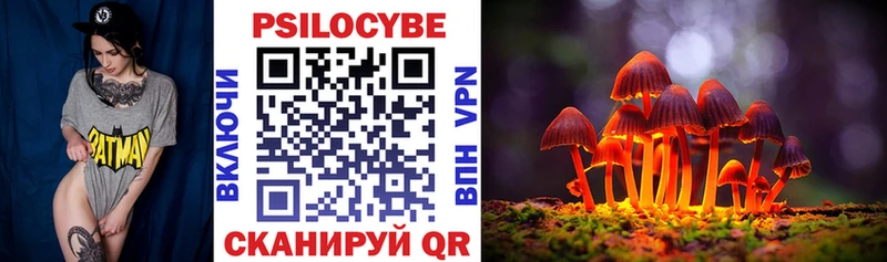 Галлюциногенные грибы прущие грибы Сердобск